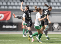 Scor ireal in campionatul Sloveniei » La pauz?, rezultatul era 12-0