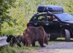 foto: GSP | Pericolul de pe Transf?g?r??an e ignorat de ?oferi » GSP public? apelul unui expert, dup? cazul motociclistului ucis (…)