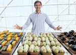 foto: GSP | Din 2020 sunt agricultor » Ciprian T?t?ru?anu a l?sat fotbalul pentru dovlecei, zucchini ?i vinete bio! Fostul (…)