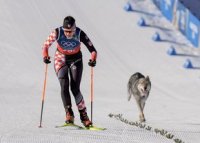 Apari?ie nea?teptat? pe pista de schi fond de la Jocurile Olimpice, a declan?at fotografia de fini?!