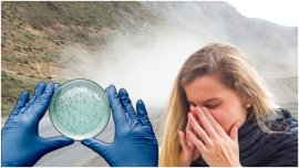 „Febra v?ii”, boala invizibil? din aer care se r?spânde?te rapid ?i poate provoca meningit? ?i deces. „Infec?ia este&nbsp;(…)