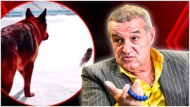 Gigi Becali, reac?ie surpriz? în scandalul de la Rapid – Dinamo: „M-am sup?rat eu când au pus oaia? Nu îmi e ru?ine&nbsp;(…)