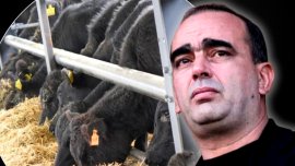 Dezastru pentru Gigi Ne?oiu, la ferma de zeci de milioane de euro de la Cetate. „A fost inundat?. I-au murit vaci ?i oi”