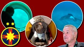 Vacan?? exotic? pentru starul de la FCSB pe care Gigi Becali vrea 5 milioane de euro. Submarin ?i vizit? în adâncuri&nbsp;(…)