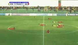 Meci de fotbal suspendat dup? ce un roi de albine sperie juc?torii, obliga?i s? se întind? la p?mânt I VIDEO