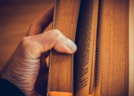 5 c?r?i recomandate de reporterii GSP pentru Cr?ciun