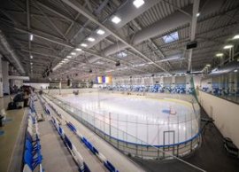 Comentatorul Emil Hossu-Longin s-a enervat, dup? ce a fost pe singurul patinoar func?ional din Bucure?ti: „Nic?ieri (…)