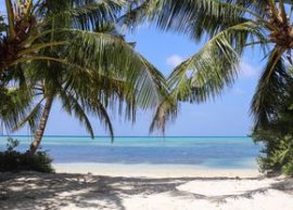 Motivul pentru care mul?i juc?tori de tenis aleg s?-?i petreac? vacan?a în Maldive