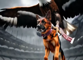 „Chiar dac? ?tim c? nu a fost pan? de vultur” » Fanii rapidi?ti au dat replica ustur?toare pentru Dinamo