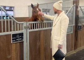 Mihai Stoica a reac?ionat imediat dup? ce a v?zut ce a f?cut Alibec la o zi dup? FCSB - Dinamo: „E «rainy Sunday»”