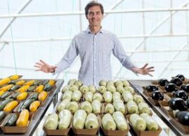 „Din 2020 sunt agricultor” » Ciprian T?t?ru?anu a l?sat fotbalul pentru dovlecei, zucchini ?i vinete bio! Fostul (…)